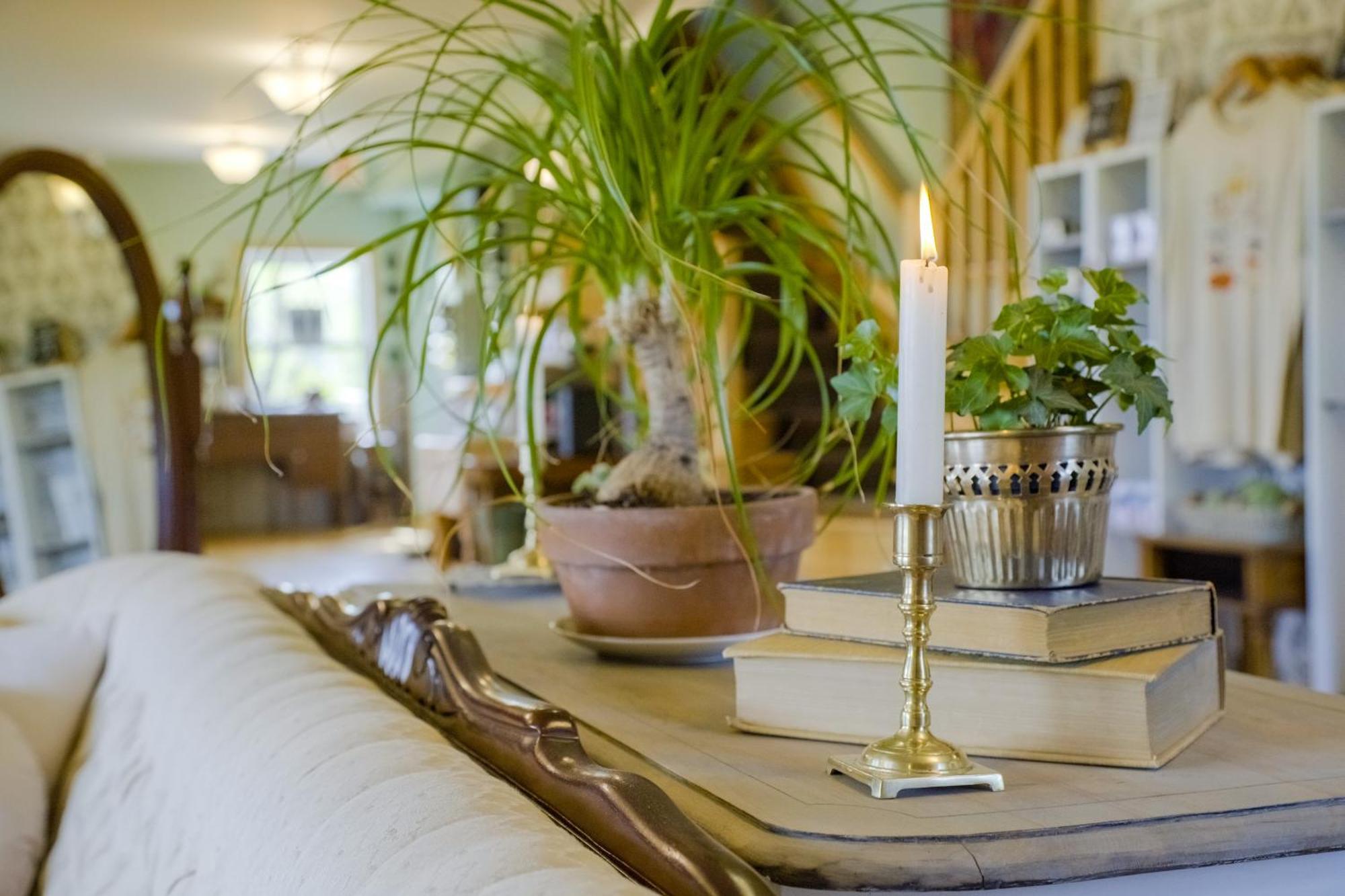 Chanterelle Inn & Cottages Baddeck Ngoại thất bức ảnh